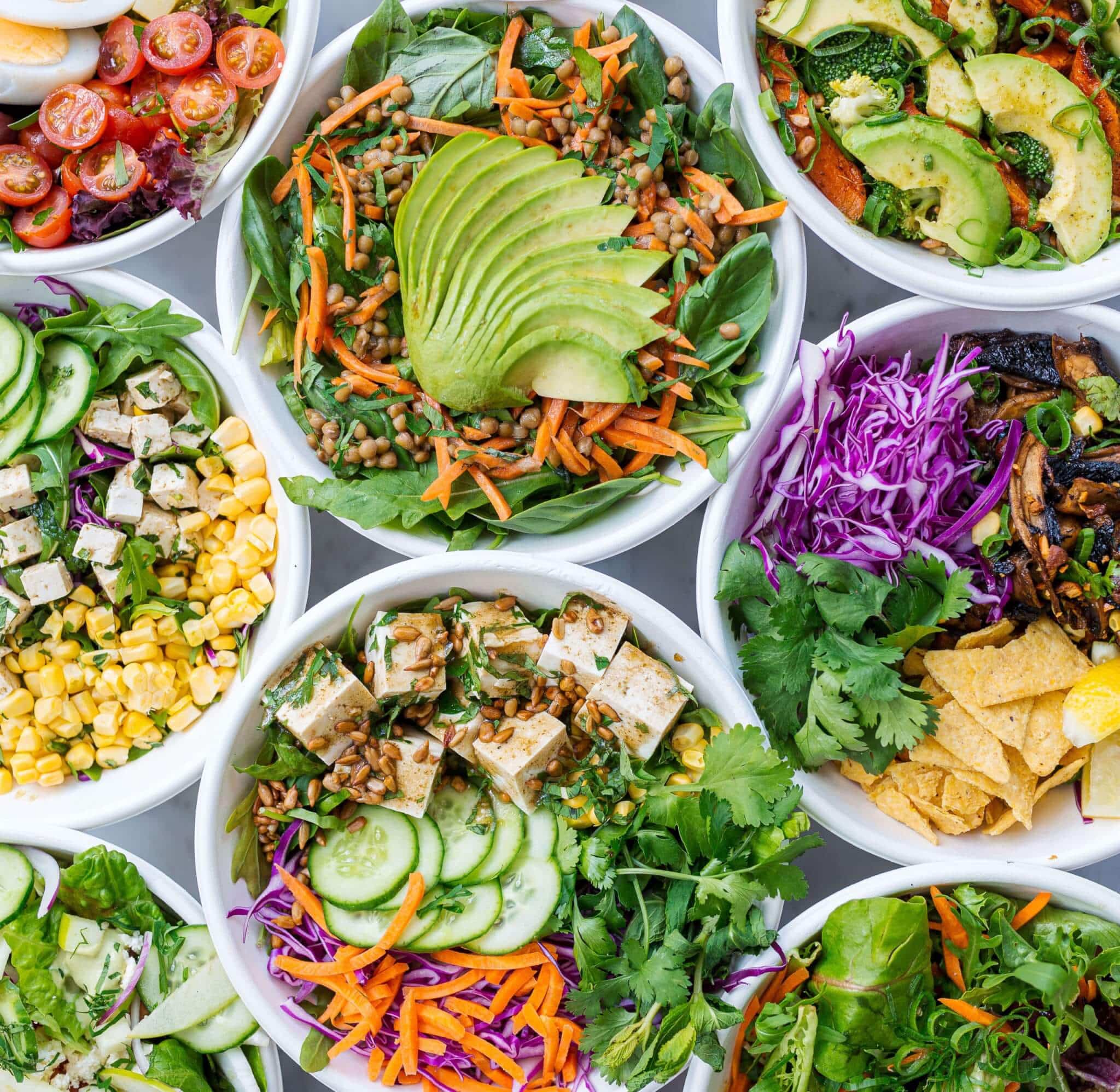 A variety of healthy vegetable bowls aligned side by side in rows.
